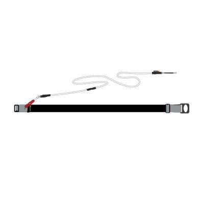 Core Wingfoil Waistbelt Leash 2.0